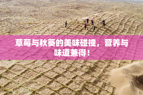 草莓与秋葵的美味碰撞，营养与味道兼得！