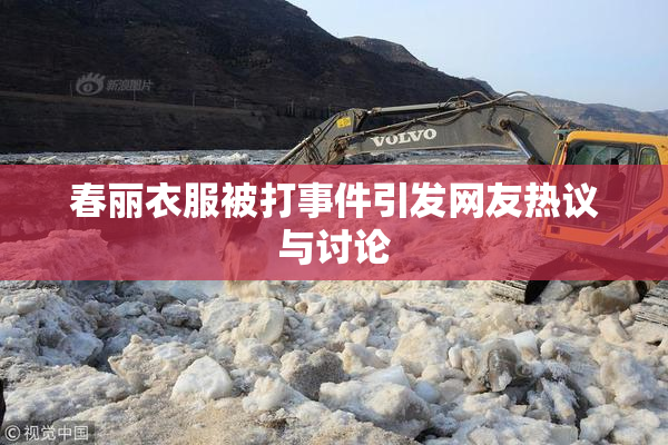 春丽衣服被打事件引发网友热议与讨论