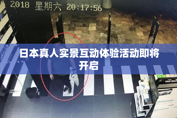 日本真人实景互动体验活动即将开启