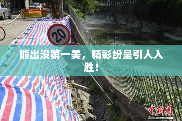 熊出没第一美，精彩纷呈引人入胜！