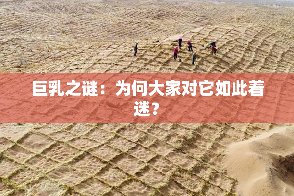 巨乳之谜：为何大家对它如此着迷？
