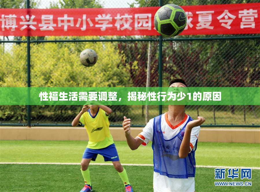 性福生活需要调整，揭秘性行为少1的原因