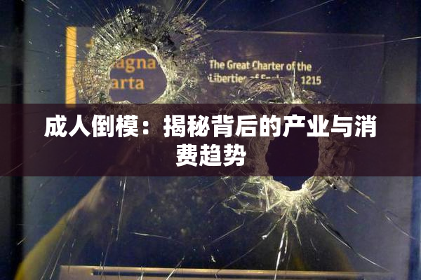 成人倒模：揭秘背后的产业与消费趋势