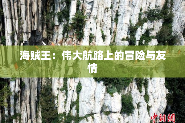 海贼王：伟大航路上的冒险与友情