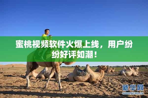 蜜桃视频软件火爆上线，用户纷纷好评如潮！