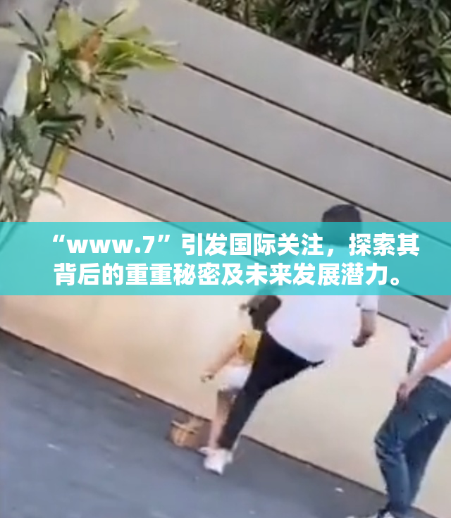 “www.7”引发国际关注，探索其背后的重重秘密及未来发展潜力。