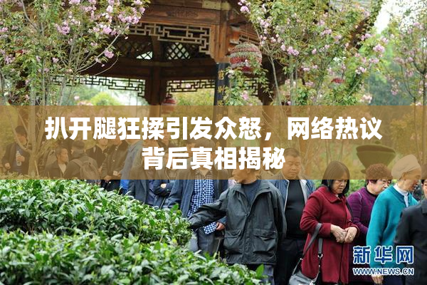 扒开腿狂揉引发众怒，网络热议背后真相揭秘