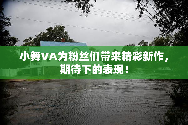 小舞VA为粉丝们带来精彩新作，期待下的表现！