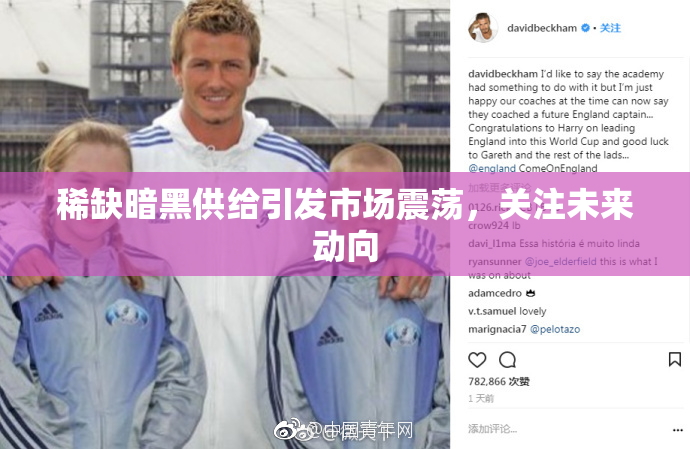 稀缺暗黑供给引发市场震荡，关注未来动向