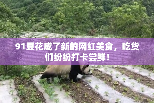 91豆花成了新的网红美食，吃货们纷纷打卡尝鲜！