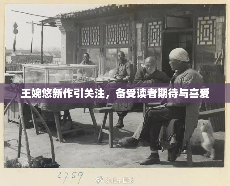 王婉悠新作引关注，备受读者期待与喜爱