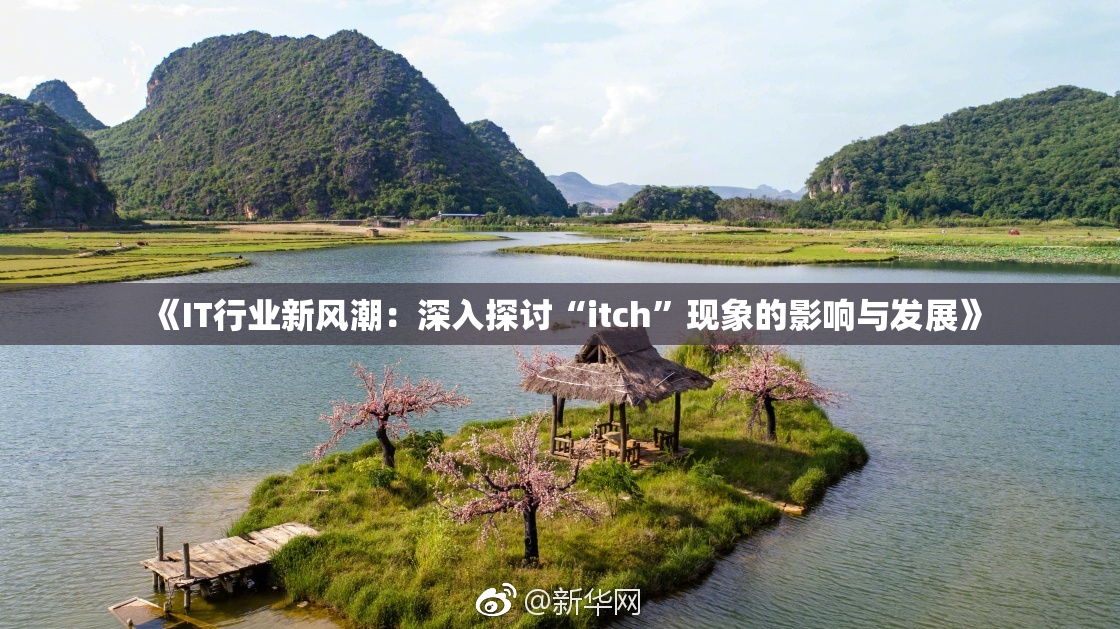 《IT行业新风潮：深入探讨“itch”现象的影响与发展》
