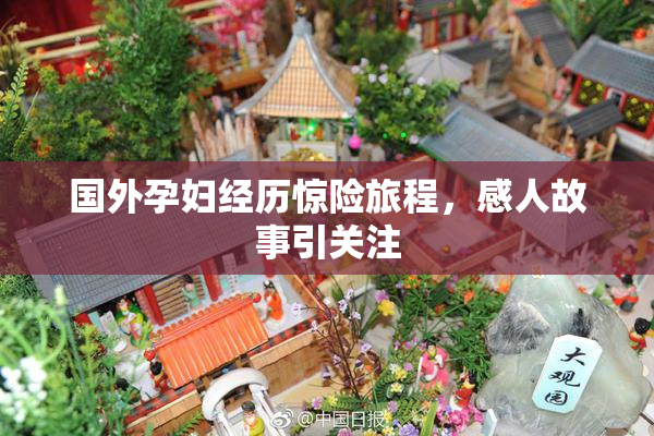 国外孕妇经历惊险旅程，感人故事引关注