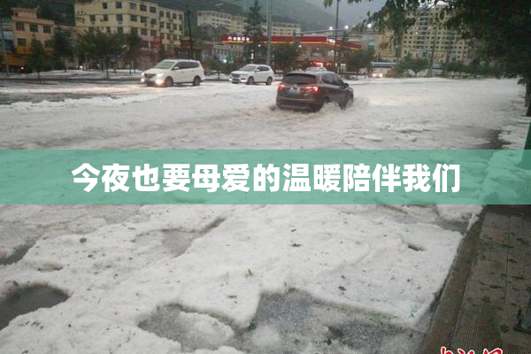 今夜也要母爱的温暖陪伴我们