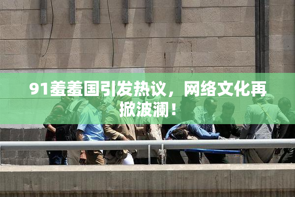 91羞羞国引发热议，网络文化再掀波澜！
