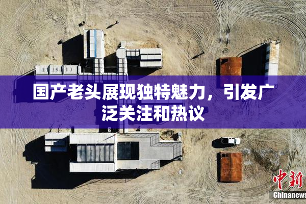 国产老头展现独特魅力，引发广泛关注和热议