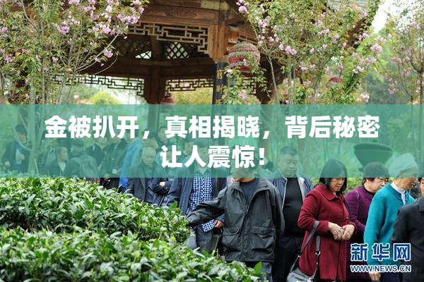 金被扒开，真相揭晓，背后秘密让人震惊！