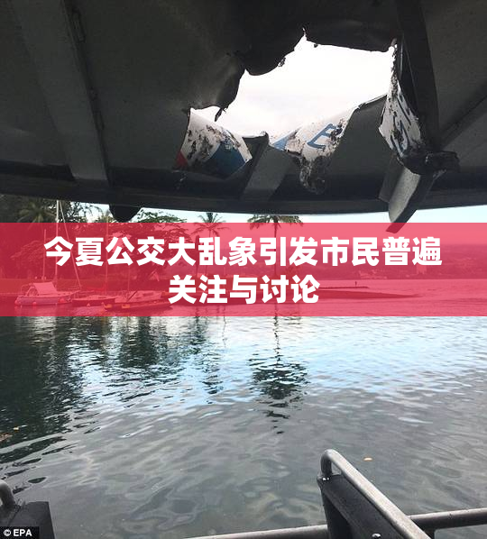 今夏公交大乱象引发市民普遍关注与讨论