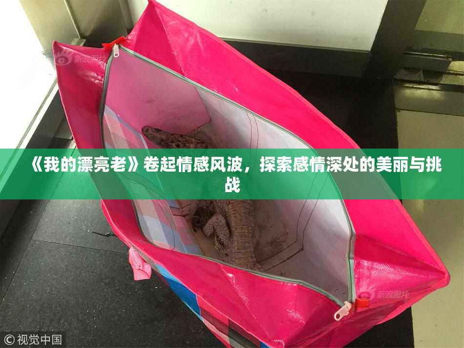 《我的漂亮老》卷起情感风波，探索感情深处的美丽与挑战
