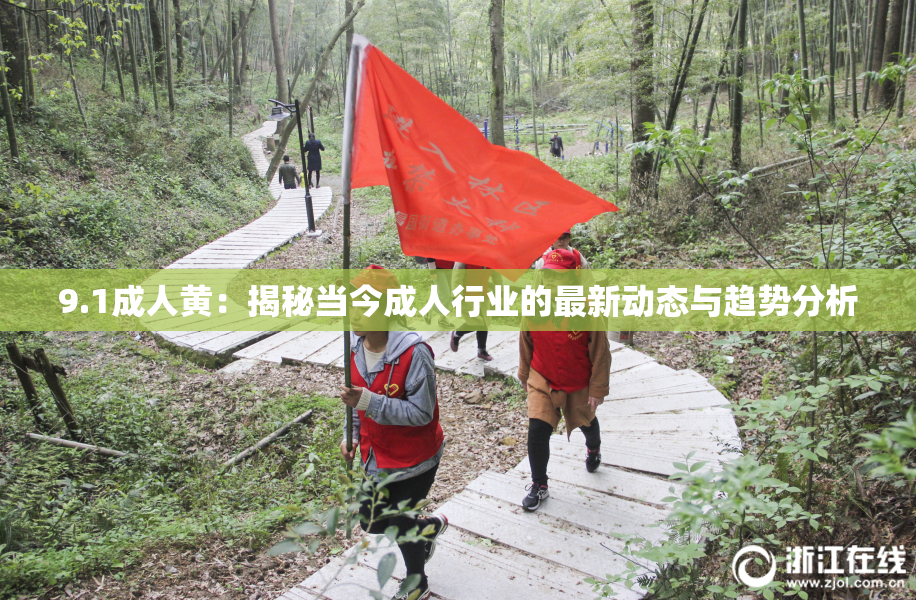 9.1成人黄：揭秘当今成人行业的最新动态与趋势分析