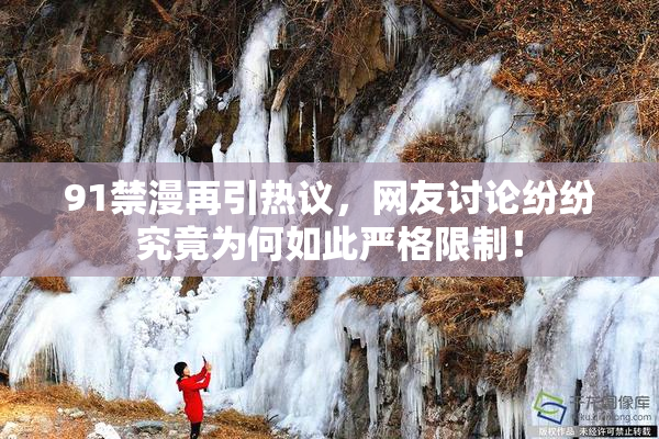 91禁漫再引热议，网友讨论纷纷究竟为何如此严格限制！