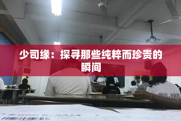少司缘：探寻那些纯粹而珍贵的瞬间