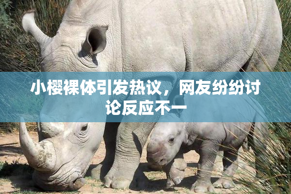 小樱裸体引发热议，网友纷纷讨论反应不一