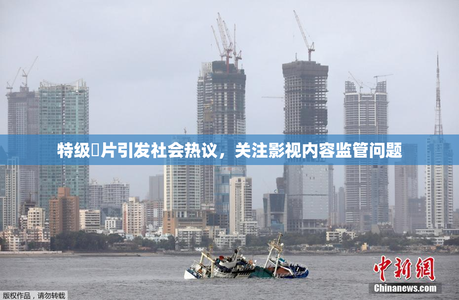 特级婬片引发社会热议，关注影视内容监管问题