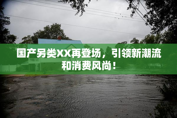 国产另类XX再登场，引领新潮流和消费风尚！