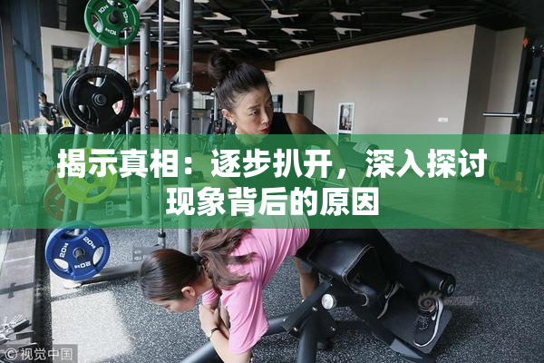 揭示真相：逐步扒开，深入探讨现象背后的原因