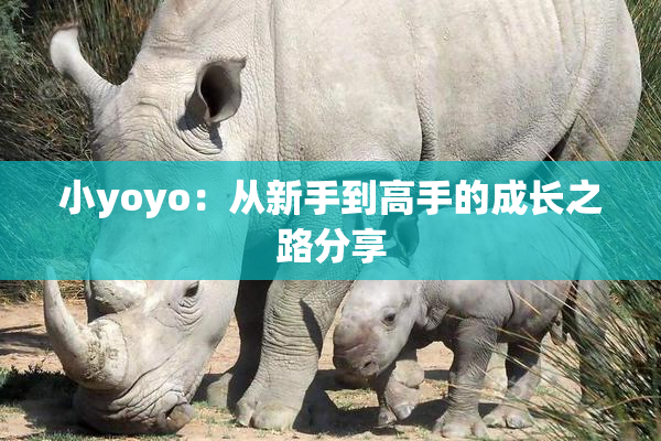 小yoyo：从新手到高手的成长之路分享