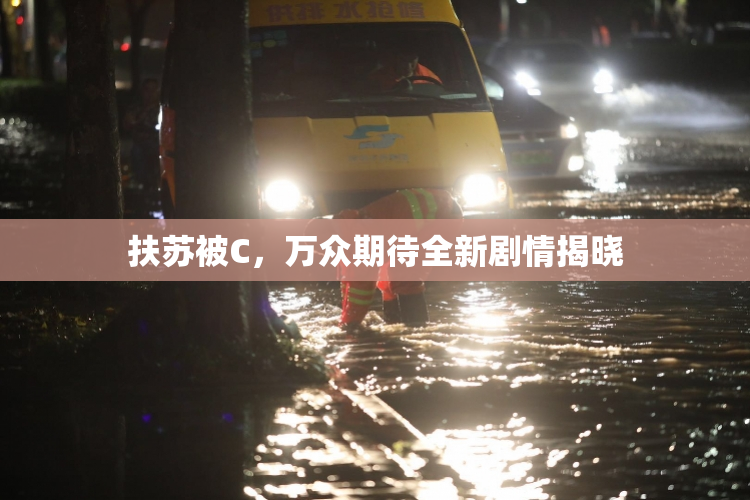 扶苏被C，万众期待全新剧情揭晓