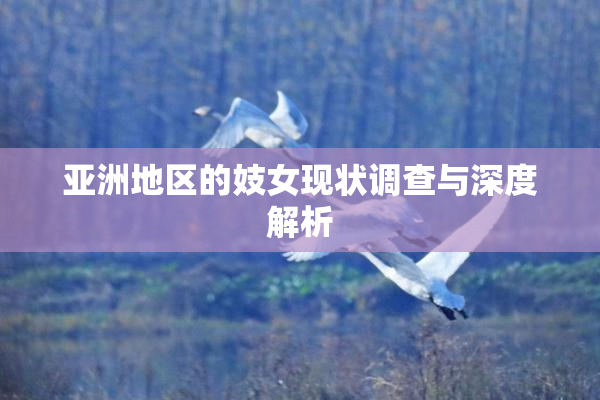 亚洲地区的妓女现状调查与深度解析