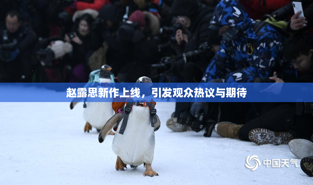 赵露思新作上线，引发观众热议与期待