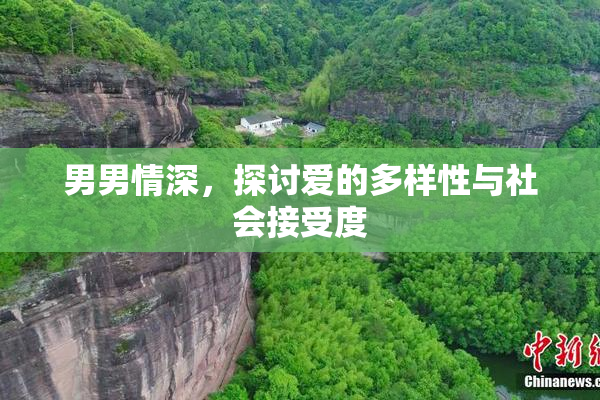 男男情深，探讨爱的多样性与社会接受度