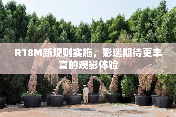 R18M新规则实施，影迷期待更丰富的观影体验