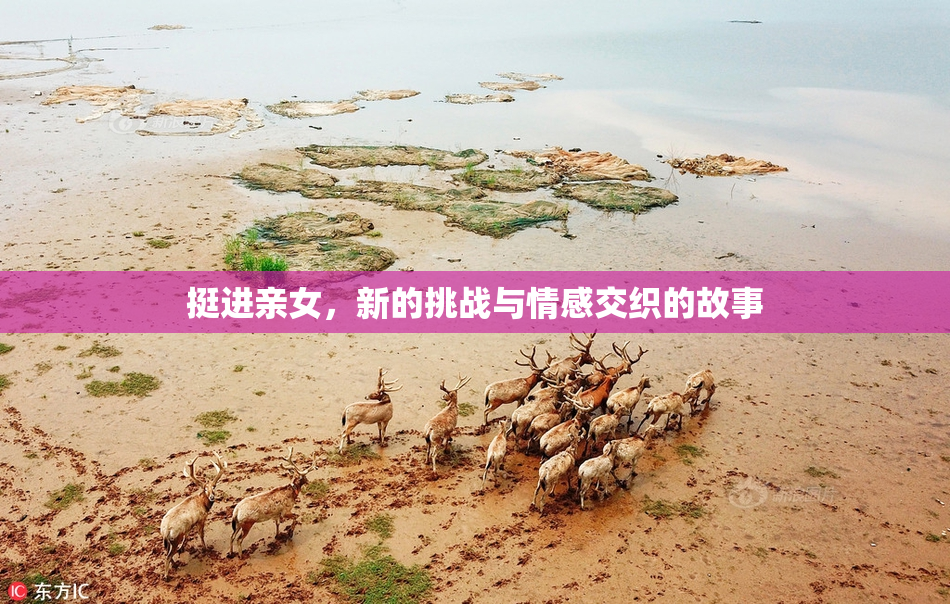 挺进亲女，新的挑战与情感交织的故事