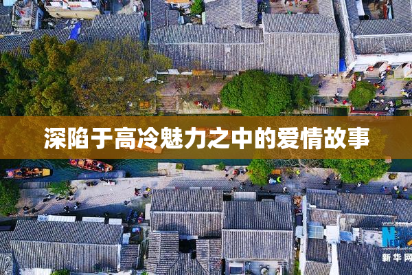 深陷于高冷魅力之中的爱情故事