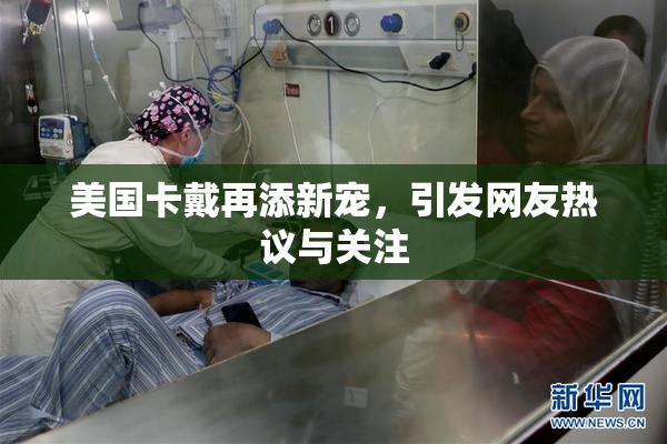 美国卡戴再添新宠，引发网友热议与关注