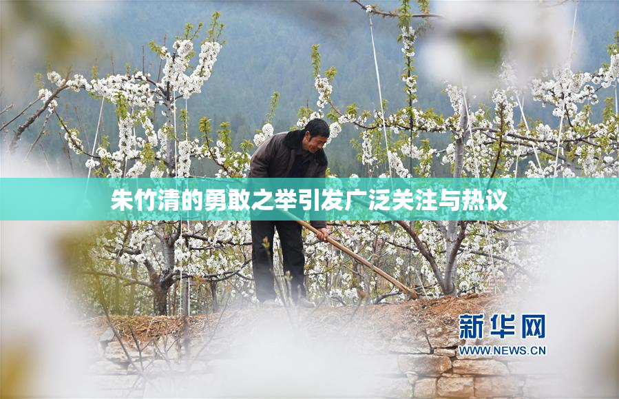 朱竹清的勇敢之举引发广泛关注与热议