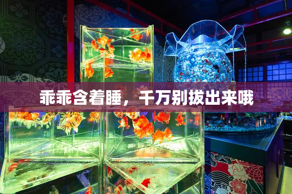 乖乖含着睡，千万别拔出来哦