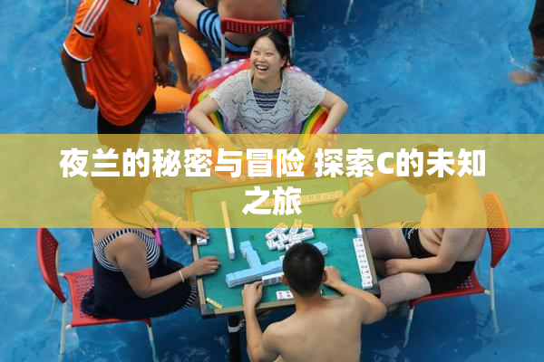 夜兰的秘密与冒险 探索C的未知之旅