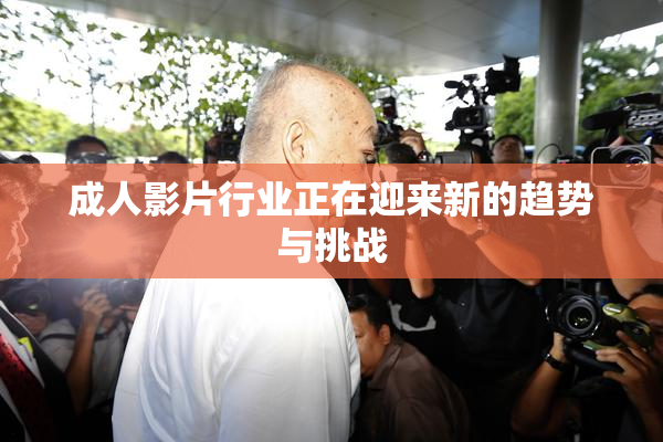 成人影片行业正在迎来新的趋势与挑战