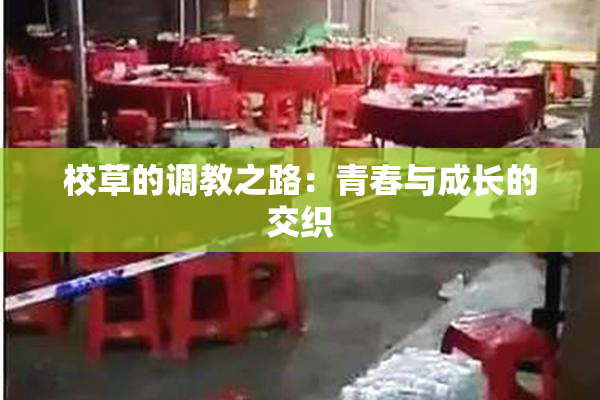 校草的调教之路：青春与成长的交织