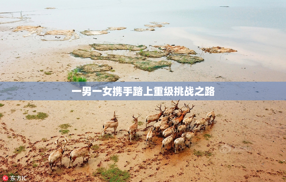 一男一女携手踏上重级挑战之路
