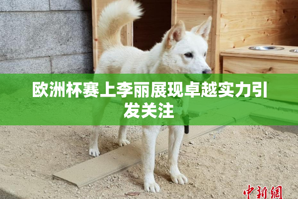 欧洲杯赛上李丽展现卓越实力引发关注
