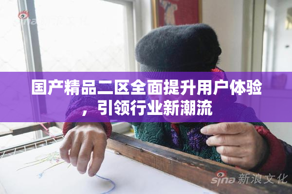 国产精品二区全面提升用户体验，引领行业新潮流