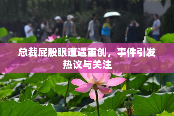 总裁屁股眼遭遇重创，事件引发热议与关注