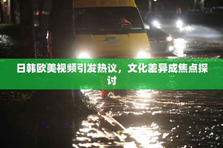 日韩欧美视频引发热议，文化差异成焦点探讨