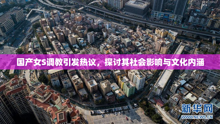 国产女S调教引发热议，探讨其社会影响与文化内涵